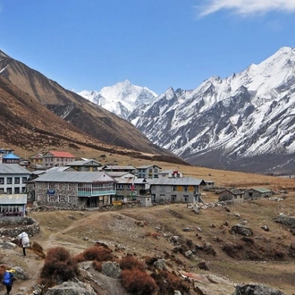 tourhub | Go Nepal Travel Tours & Trekking  | Langtang Valley Trek 