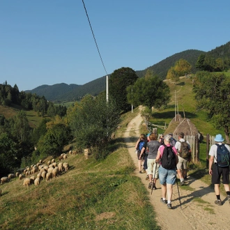 tourhub | Active Travel | Village life in Transylvanian Carpathian Mountains 