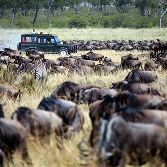 tourhub | Gracepatt Ecotours Kenya | 3-Days Maasai Mara Camping Safari on 4x4 Land Cruiser Jeep 