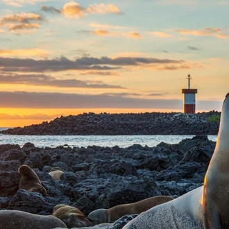 tourhub | G Adventures | Galápagos – Central and East Islands aboard the Reina Silvia Voyager (Cruise Only) 