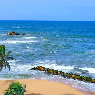 tourhub | Ceylon Travel Dream | Honeymoon Sri Lanka 
