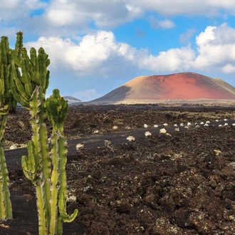 tourhub | Explore! | Canary Islands Walking - Lanzarote 