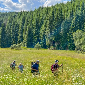 tourhub | Exodus Adventure Travels | Bulgaria: Realm of the Brown Bear 