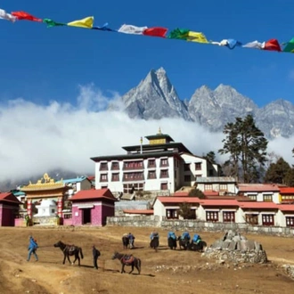 tourhub | Nepal Lion Tours and Treks | 10D 9N Everest Base Camp Trek with Heli Return 