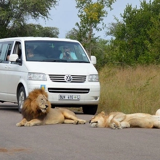 tourhub | Timeline Travel | South Africa Holiday Johannesburg, Kruger National Park & Cape Town 