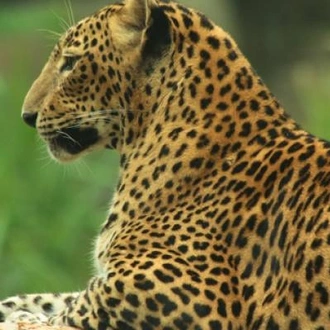 tourhub | On The Go Tours | Safari in Sri Lanka - 9 days 