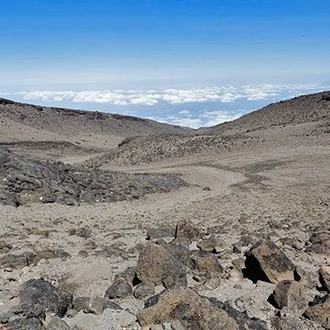 tourhub | Alaitol Safari | 8 Day Kilimanjaro Climb - Machame route 