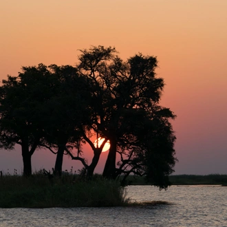tourhub | HoneyBadger Travel & Tours | Botswana Dream Tour : Okavango Delta, Chobe National Park, Victoria Falls 