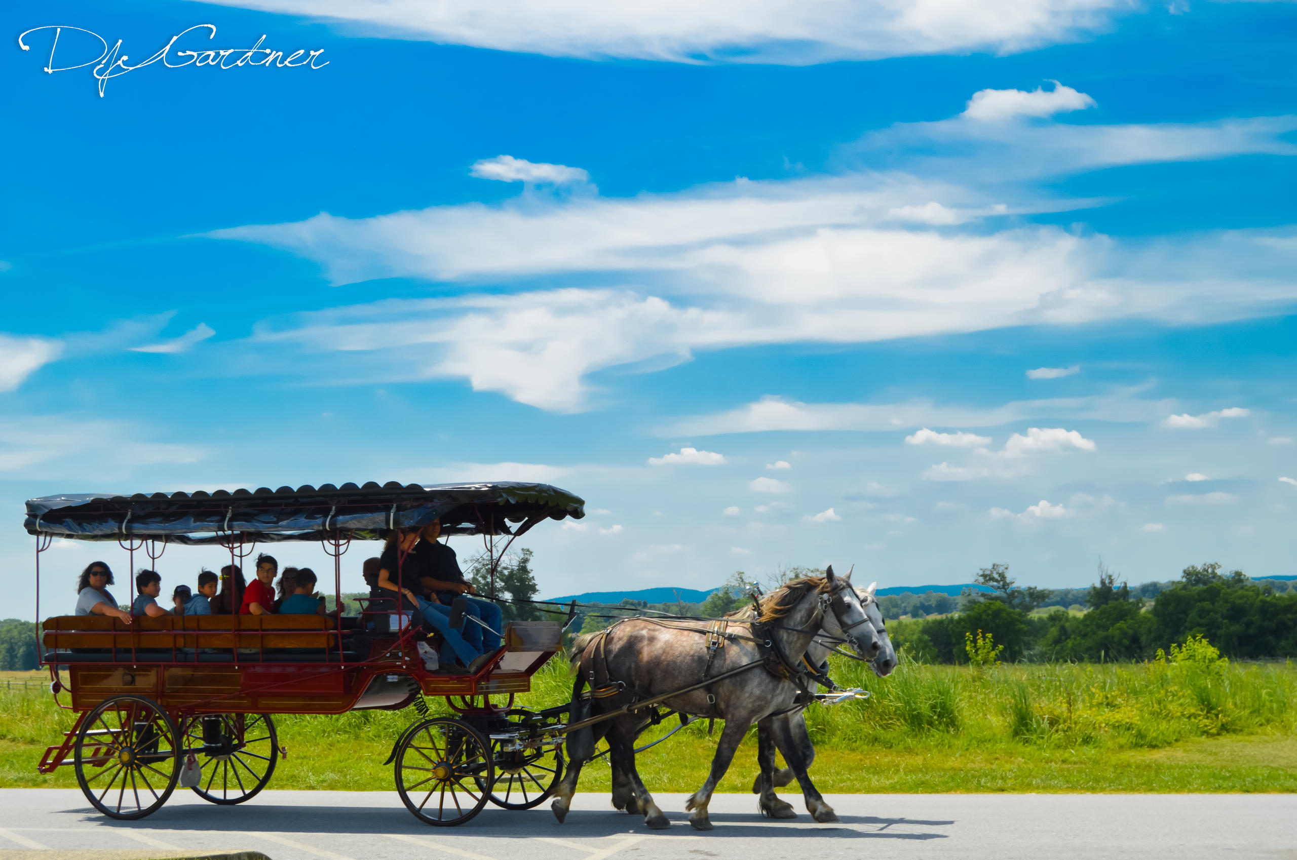 Battlefield South (2 Hour Licensed Battlefield Guided Carriage Tour)