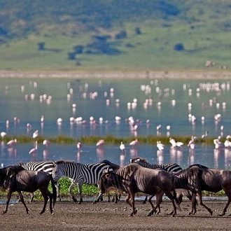 tourhub | Gracepatt Ecotours Kenya | 3 Days Birdwatching Safari  