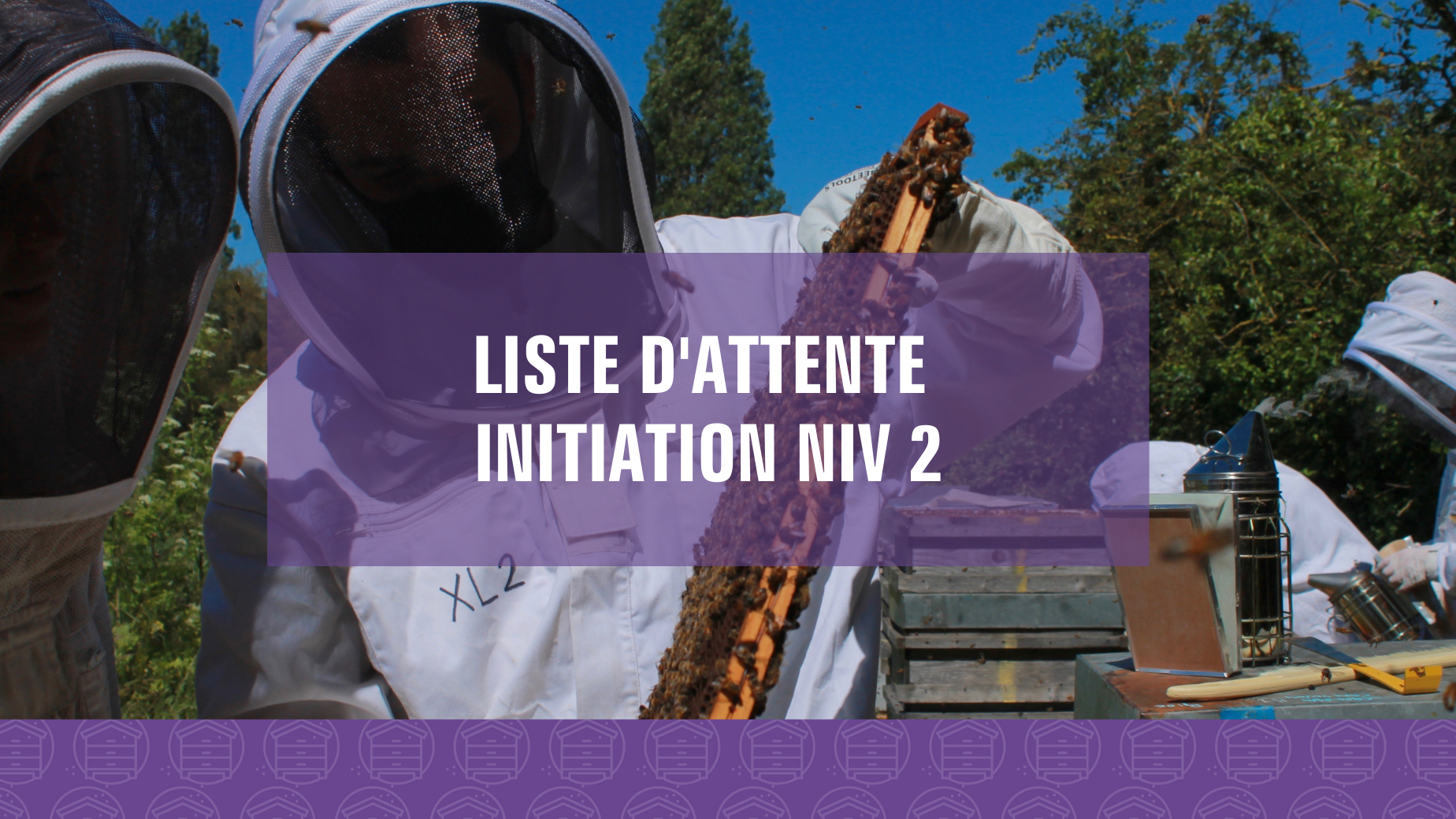 Représentation de la formation : Initiation à l'apiculture - Niveau 2 (Liste d'attente)