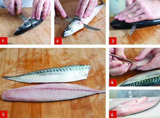 mackerel-filleting3