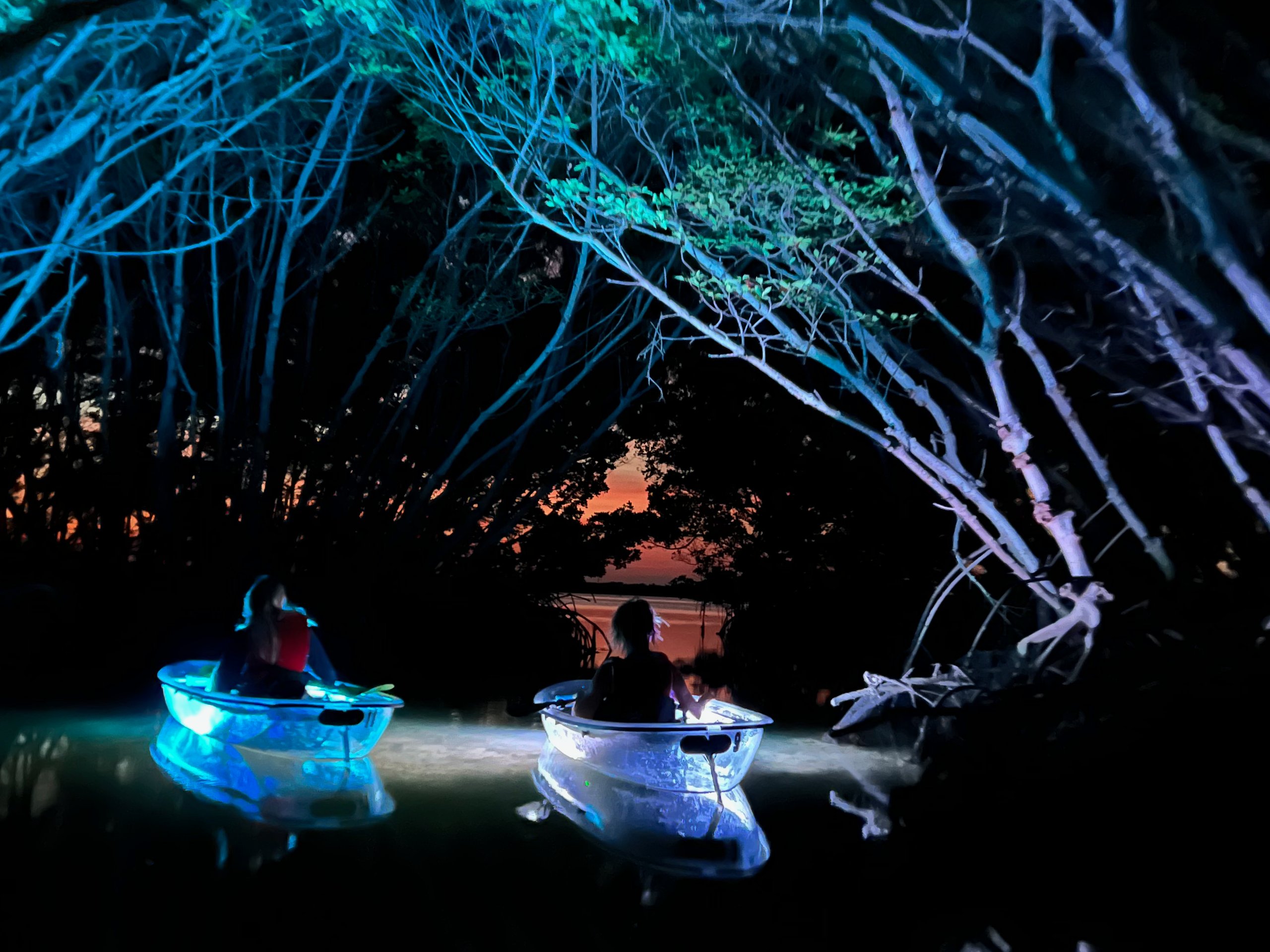 Night Time Glowing Clear Kayak Tour of Shell Key Preserve image 5