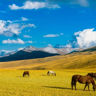 tourhub | Crooked Compass | Mongolia’s Golden Eagle Festival &#038; Kazakhstan 