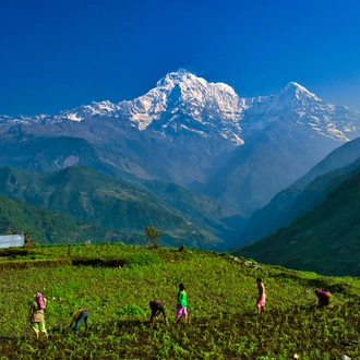 tourhub | Travel Max Guide | Annapurna Base Camp Trek 