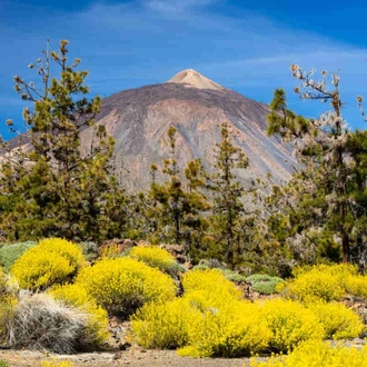 tourhub | YellowWood Adventures | Hiking the wondrous landscapes of the Canary Islands 