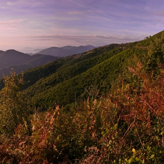 tourhub | Exodus Adventure Travels | Walks of the Cinque Terre and Portofino 