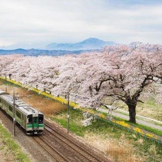 tourhub | Intrepid Travel | Japan: Land of the Rising Sun 