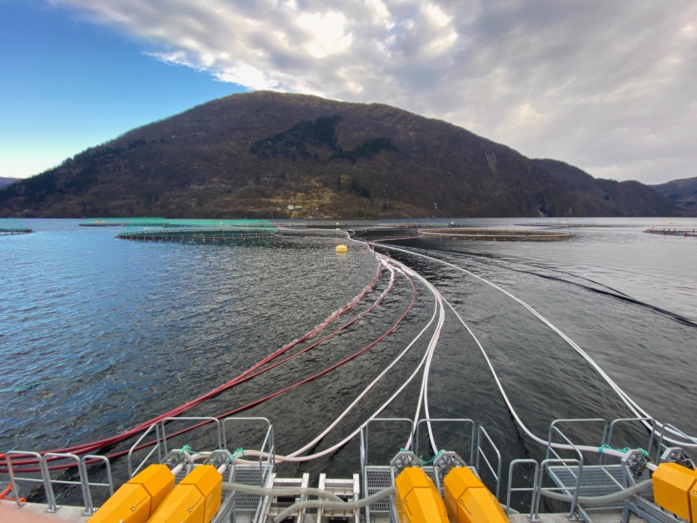 The PwC report shows that the potential for the sludge from Norway's fish farming is significantly greater than previously estimated.
