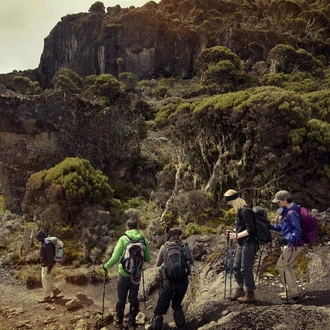 tourhub | G Adventures | Mt Kilimanjaro Trek - Machame Route (8 Days) 