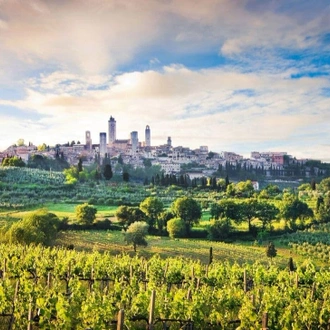 tourhub | Travel Department | Classic Tuscany including Florence and Pisa - Solo Traveller 