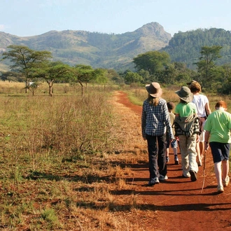 tourhub | Explore! | Family South Africa Safari and Beach Adventure 