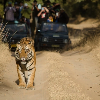 tourhub | Panda Experiences | Heritage India Tour with Wildlife 