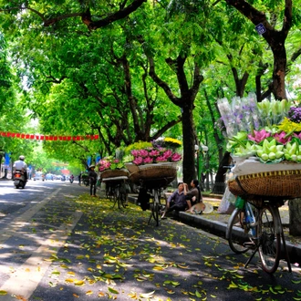 tourhub | Mr Linh's Adventures | Authentic Vietnam 21 days 20 nights 