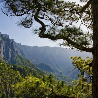 tourhub | Exodus Adventure Travels | Walking the Island of La Palma 