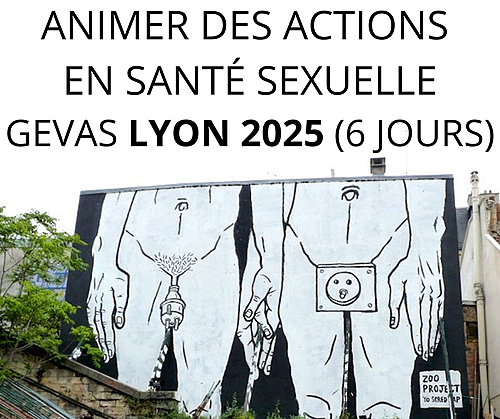 Représentation de la formation : GEVAS 2025 : Animer un atelier d’éducation à la sexualité et/ou un groupe d’expression autour de la vie intime, affective et sexuelle à destination des personnes en situation de handicap (INTER  à LYON / 6 jours)