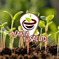 Photo from Planta Tu Salud