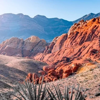 tourhub | Trafalgar | America's Great Desert National Parks End Phoenix 