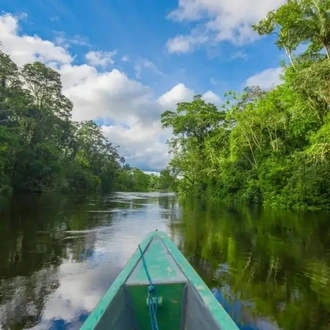 tourhub | Ecuador Galapagos Travels | 4 Days Amazon Lodge Cuyabeno Reserve 