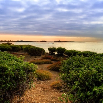 tourhub | Explore! | Galapagos Express - Central, South & East Islands aboard the Archipel I 