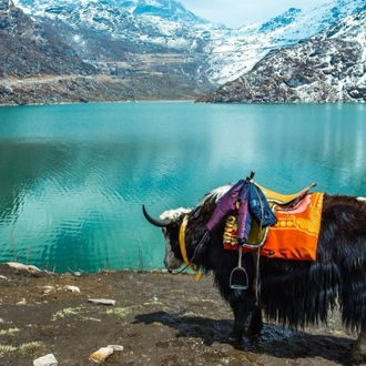 tourhub | Holidays At | Buddhist Temple with North East India Tour 