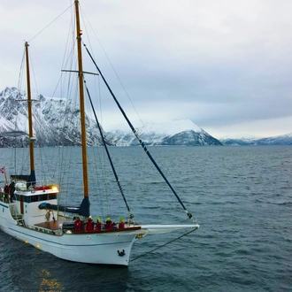 tourhub | World Sea Explorers AS | Whale Watching, Northern Lights & Sledding from Tromso 