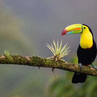 tourhub | Exodus Adventure Travels | Discover Costa Rica 