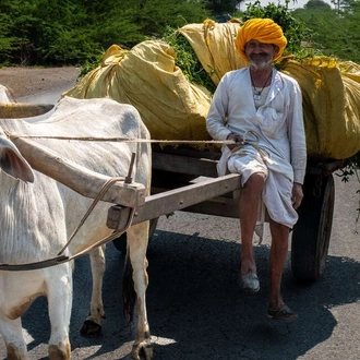 tourhub | Explore! | Rajasthan - Land of the Maharajahs 