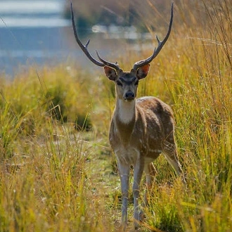 tourhub | Holidays At | Golden Triangle with Ranthambore Tour 