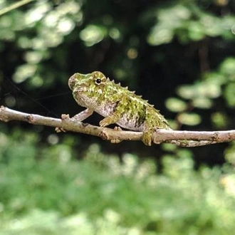 tourhub | G Adventures | Highlights of Madagascar 