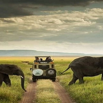 tourhub | Alaitol Safari | Big Five Safari To Tarangire and Ngorongoro Crater 