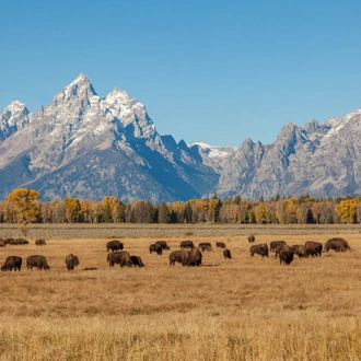 tourhub | Tours of Distinction | National Parks of America's West 