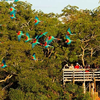 tourhub | Bamba Travel | Pantanal & Bonito Experience 6D/5N 