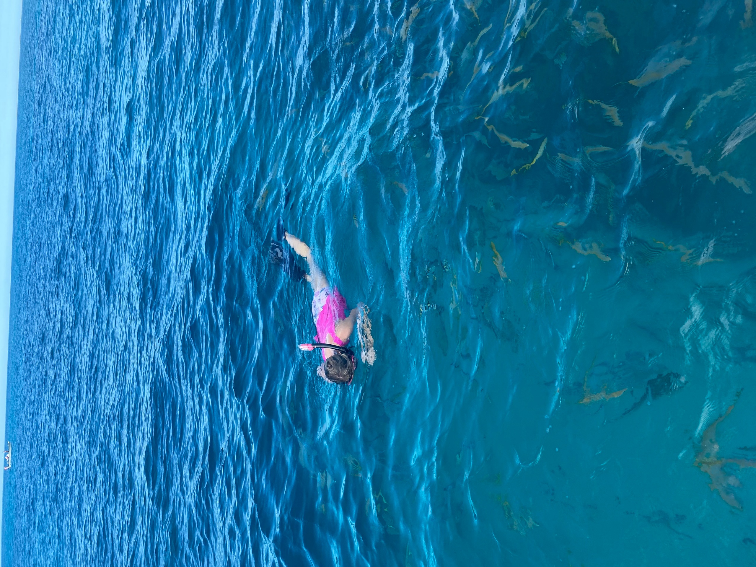 Looe Key Snorkel Excursion