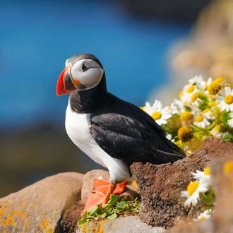 tourhub | Explore! | Walking in the Faroe Islands 