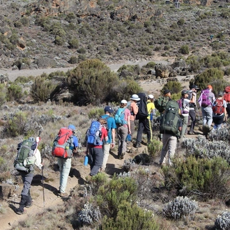 tourhub | Kilisa Tours & Safaris | 6 Days Lemosho Route Mt.Kilimanjaro Climb 