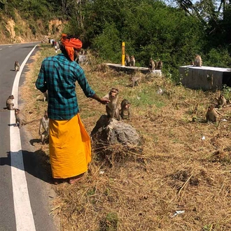 tourhub | SpiceRoads Cycling | Road Cycling India Coast to Coast 