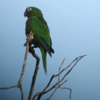 tourhub | Destination Services Costa Rica | Costa Rica Birdwatching 