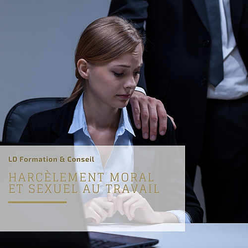 Représentation de la formation : Prévenir le harcèlement moral et sexuel au travail - Versions collaborateurs 