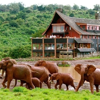 tourhub | Gracepatt Ecotours Kenya | Aberdares National Park Luxury Lodge Safari 2days 1 Night Tour 